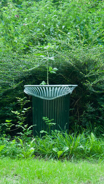 Green trash can in a public park by a bush