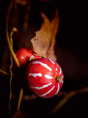 Small wild red fruit on a vine