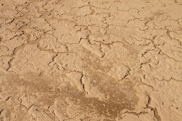 natural background texture clean sandy beach