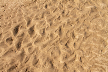 natural background texture clean sandy beach