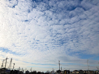 Cirrocumulus clouds over the city