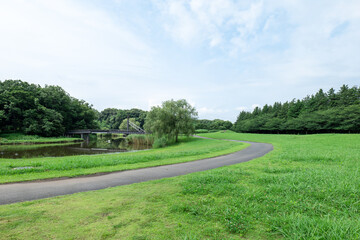 Obraz premium 夏の古河公方公園の風景 7月