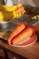 Two large carrots are on plate