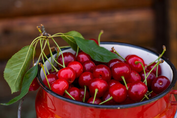 Summer season of cherries. Red ripe cherries. Cherries in a bucket.