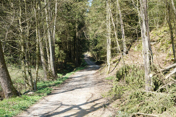 The climate crisis and forest dieback hit the forests in Germany and Bavaria very hard,...