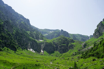 Fototapeta na wymiar mountainous landscape. mountain landscape in Bucegi National Park in July 2021.