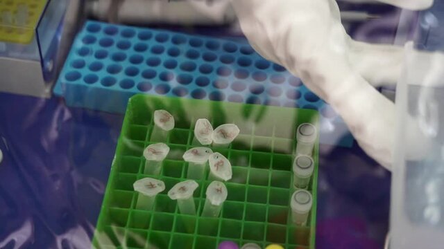 Virus test in barrack chambers