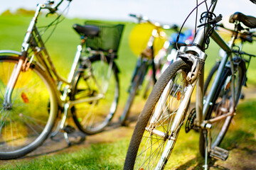 Fototapeta na wymiar Bicycles in a summer green park
