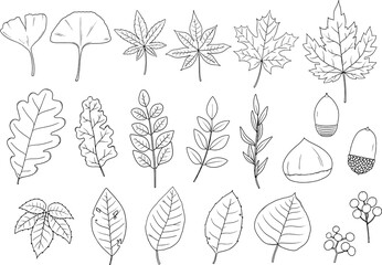 秋のリーフ・植物の線画セット　ベクター素材