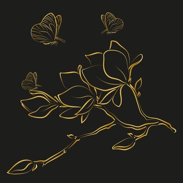 Elegant golden outline sketching of magnolia flowers, vector illustration