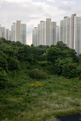 Fototapeta premium 한국의 아파트 풍경. Korean style apartment, APT with nature