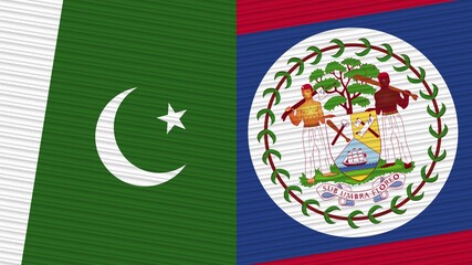 Belize and Pakistan Two Half Flags Together Fabric Texture Illustration