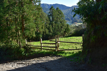 Fototapeta na wymiar Lush Fenced Grass Farmland in the Azores
