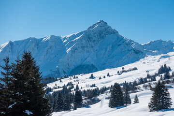 Winter am Heinzenberg