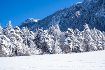 Obraz premium Winter in Chur