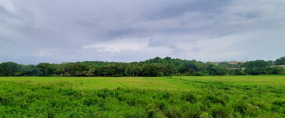 Panoramic View of a Green Village