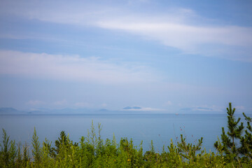 여름 풀과 나무 너머 펼쳐진 수평선과 하늘