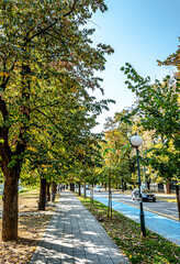 Fototapeta premium Autumn on Vilson's Promenade