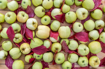 Apples on table