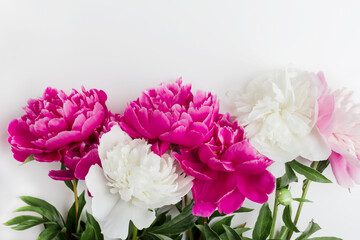  Pink and white peonies on white wooden background. Copy space.