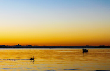 Pelican swims across liquid gold water with moat moored farther out under sky merging from orange to blue at sunset behind volcanic mountains in distance.