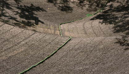 Sunlight and branches shadow on surface of black plastic light filtering net spread out in outdoor area