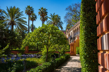 Fototapeta na wymiar The gardens of the Alcazar on a clear summer day
