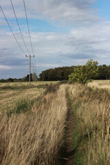 landscape in the countryside