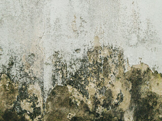 Paint erosion on aged concrete walls moldy and deteriorate over time in vintage style, used as a...