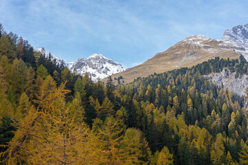 Herbst am Palpuognasee