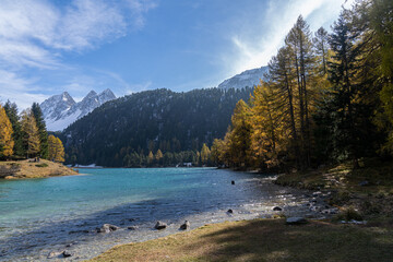 Herbst am Palpuognasee
