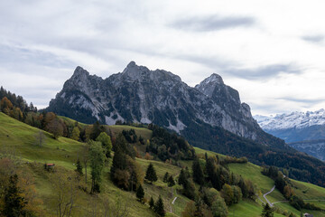 Blick vom Sattel in Richtung Schwyz