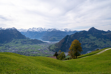 Blick vom Sattel in Richtung Schwyz
