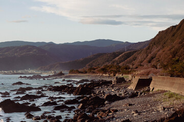 室戸岬近辺の海岸です。