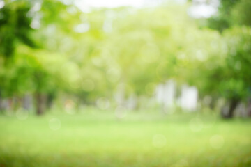 Abstract Blurred Nature Background  in the park.