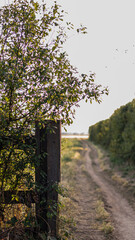 path in to the fields