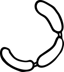 hand draw sausage