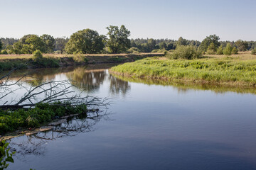 Sunny day on a calm river in summer