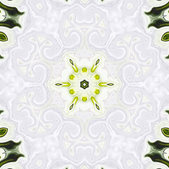 Hexagonal radial symmetrical kaleidoscopic flower mandala background