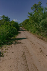 Fototapeta na wymiar camino de tierra del Chaco Argentino