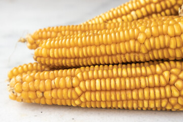 Bunch of seasonal yellow corns on white background.