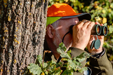 Well camouflaged behind a tree the old experienced hunter observes his hunting area through...