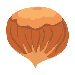 Hazelnut, natural healthy organic nutrition product, filbert. Vector doodle cartoon flat trendy illustration hand drawn isolated