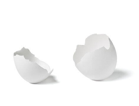 egg shell food white breakfast ingredient fragile protein half chicken part easter broken eggshell cracked