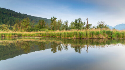 Naturschutzgebiet im Ennstal