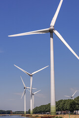 Fototapeta premium Rotterdam wind turbine