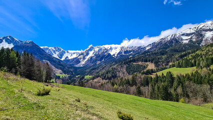 Fototapeta na wymiar A panoramic view on Baeren Valley in Austrian Alps. The highest peaks in the chain are sonw-capped. Lush green pasture in front. A few trees on the slopes. Clear and sunny day. High mountain chains.