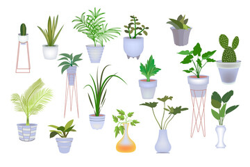 a collection of ornamental plants potted vector illustration. garden view, different indoor for home or office interior decoration, green garden flower collection icon isolated on white background