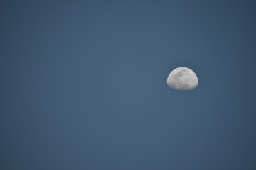 Beautiful half-moon day moon with blue background