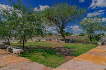 parque al aire libre con lugar para sentarse al costado de una laguna artificial, Castelli - Chaco - Argentina